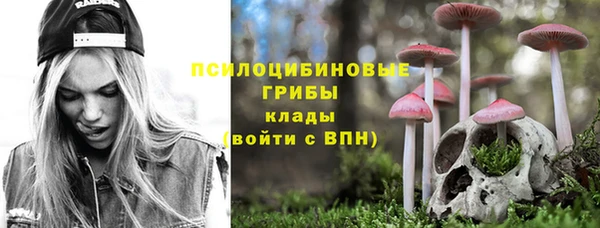 круглые Аркадак