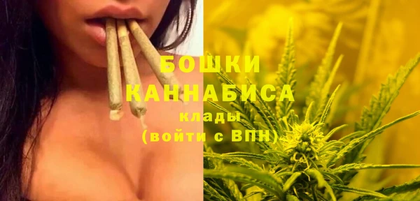 круглые Аркадак