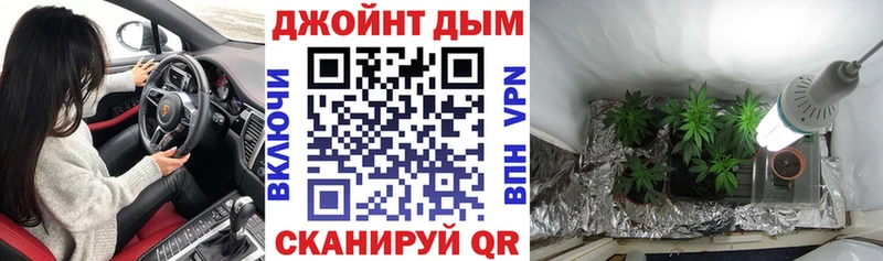 где купить Онега Шишки марихуана OG Kush
